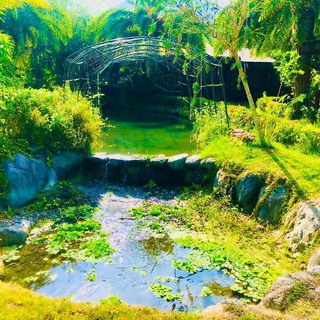 Ruisui Palm Lakes B&B المظهر الخارجي الصورة