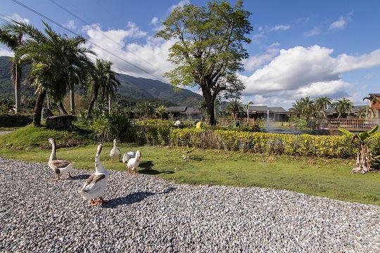 Ruisui Palm Lakes B&B المظهر الخارجي الصورة